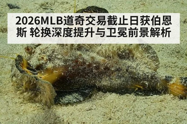 2026MLB道奇交易截止日获伯恩斯 轮换深度提升与卫冕前景解析
