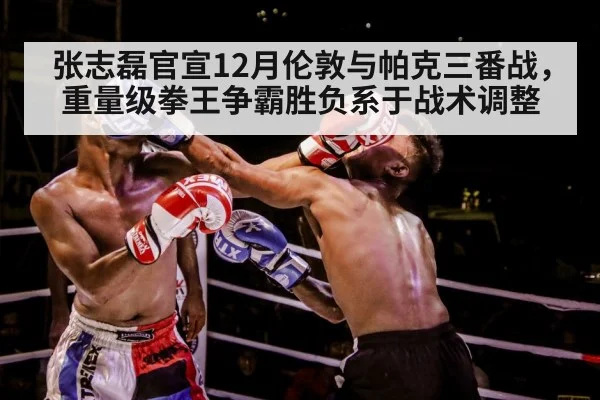 boxer punching action