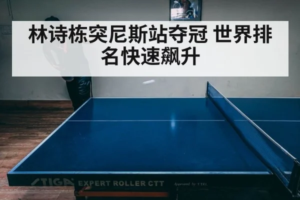 林诗栋突尼斯站夺冠 世界排名快速飙升