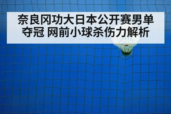 奈良冈功大日本公开赛男单夺冠 网前小球杀伤力解析