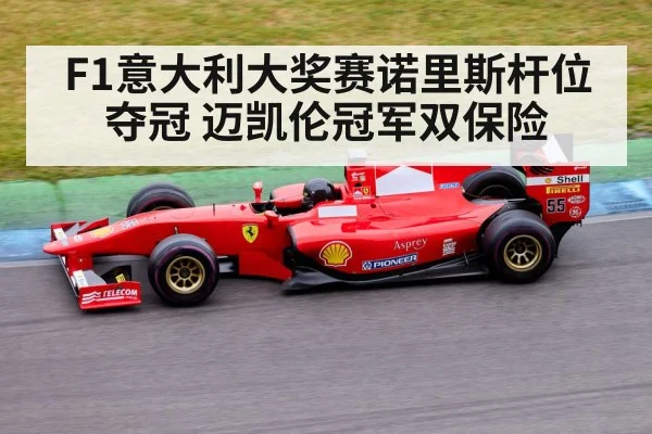 F1意大利大奖赛诺里斯杆位夺冠 迈凯伦冠军双保险