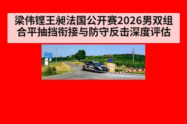 梁伟铿王昶法国公开赛2026男双组合平抽挡衔接与防守反击深度评估
